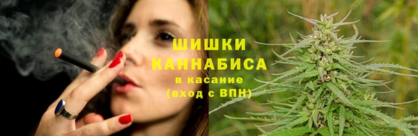 ПСИЛОЦИБИНОВЫЕ ГРИБЫ Инта