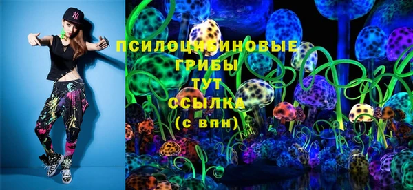 ПСИЛОЦИБИНОВЫЕ ГРИБЫ Инта
