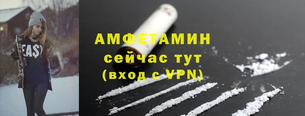 ПСИЛОЦИБИНОВЫЕ ГРИБЫ Инта