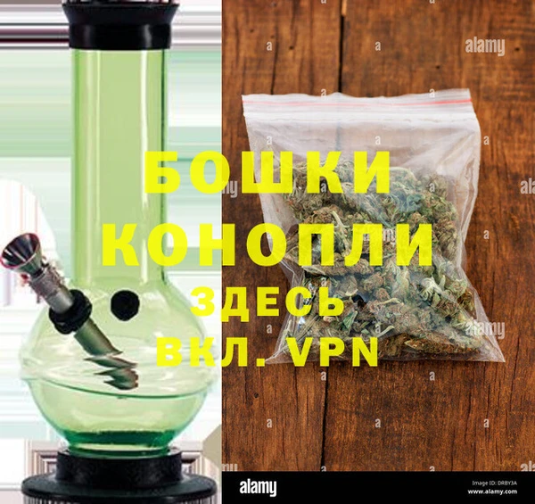 ПСИЛОЦИБИНОВЫЕ ГРИБЫ Инта