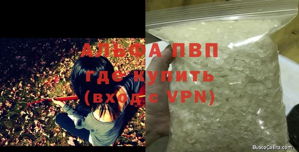 ПСИЛОЦИБИНОВЫЕ ГРИБЫ Инта